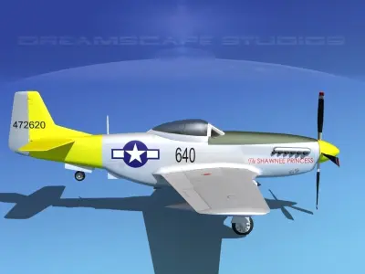 P-51D Mustang Shawnee Princess 3D model