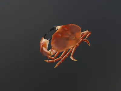 Crab 3D Low-poly 3D model