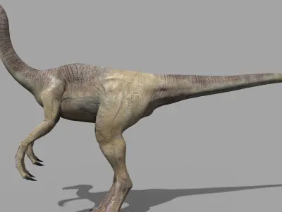 Gallimimus 8192 HD - 3d animated model 3D model