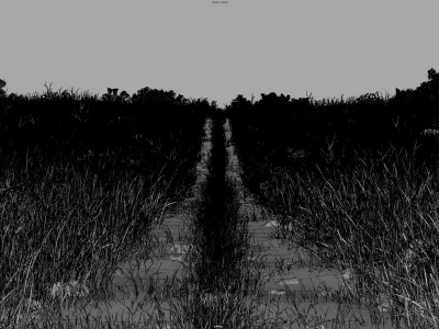 Path Meadow Landscape 3D model