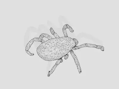 A Tick Low-poly 3D model