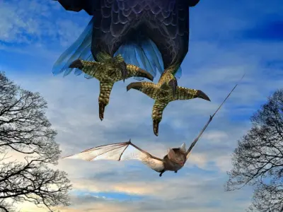 Eagle Attack  3D model