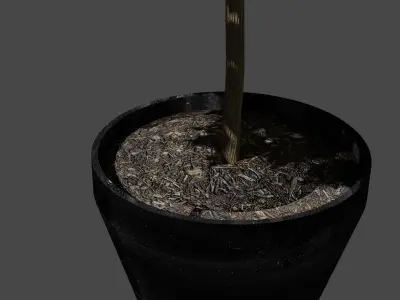 Tree in a pot Free low-poly 3D model