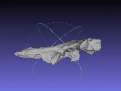 Psittacosaurus Posterior Cervical Rib Free 3D print model