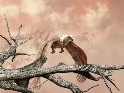 Griffon Vulture-BLENDER Low-poly 3D model