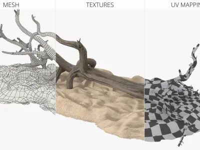 Dry Old Tree on Dune Surface 3D model