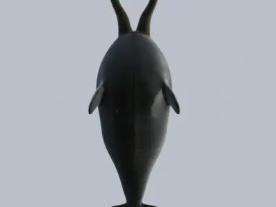 Narwhal with two tusks 3D model