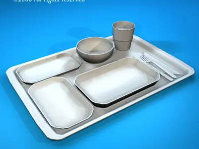 Tray food 3D model