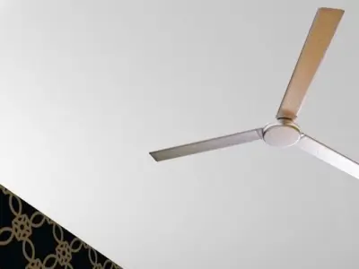 House from home and abroad is equipped 3D model