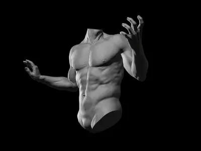 3D Printable Male Torso with Arms 3D model