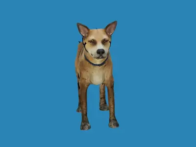 dog lowpoly 3dmodel 3D model