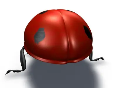 Ladybug 3D Model 3D model