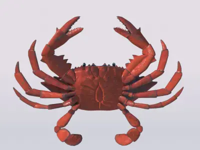 Crab 3DsMax model Free low-poly 3D model