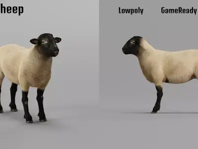 Suffolk Sheep Animal Free 3D model