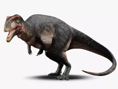 Carcharodontosaurus Rig Low-poly 3D model