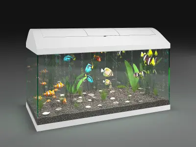 Aquarium fish tank 3D model