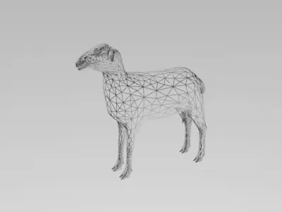 sheep LOW POLY 3D model