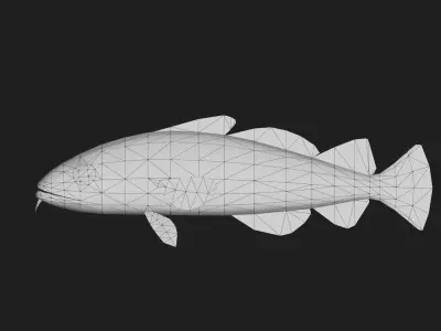 Arcticcod Low-poly 3D model
