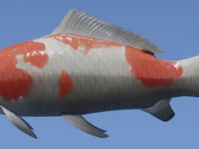 Koi Fish Lowpoly Animated Rigged Low-poly 3D model