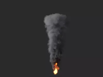 3D Fire and Smoke Animation 3D model
