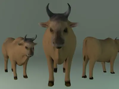 Ox Model three cows with horns Free low-poly 3D model