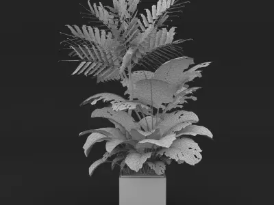 Indoor Plants Set 02 Free 3D model