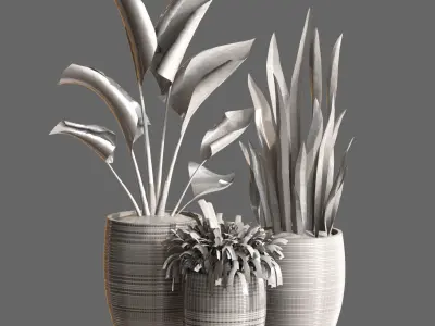 Plant Collection Rpm 05 3D model