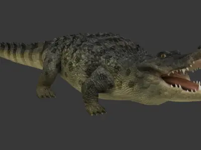 crocodile Low-poly 3D model