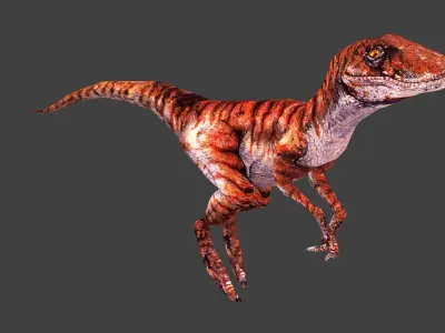 3D Animated and Rigged Raptor Dinosaur Velociraptor Low-poly 3D model