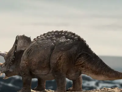 Triceratops Rigged 3D model Low-poly 3D model