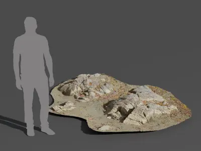  Medium Low Cracked Beach Rock Model 