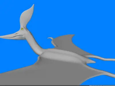 Pteranodon Sternbergi D 3D model