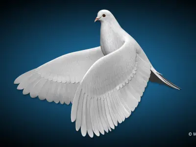 Dove - Flight 3D model
