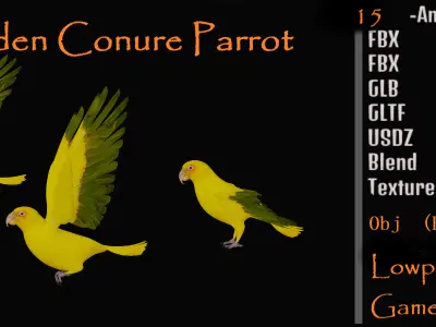 Golden Parrot Conure Low-poly 3D model