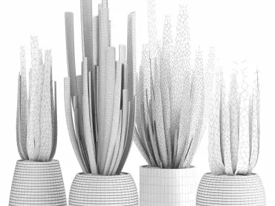 indoor plant set017 3D model