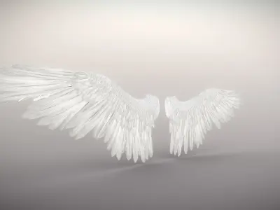 Angel or bird wings 3D model