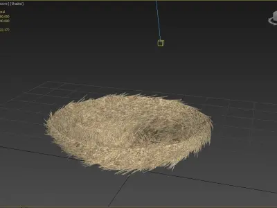 bird nest 3D model