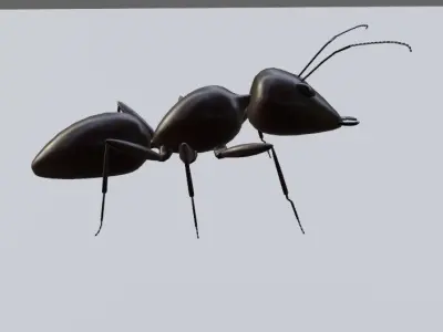 Ant - Formiga Low-poly 3D model