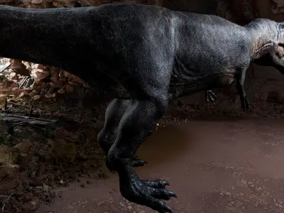 Dinosaur Giganotosaurus Real Dinosaur Series Low-poly 3D model