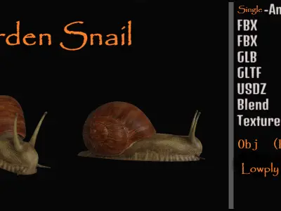 Garden Snail Low-poly 3D model