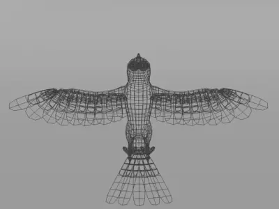 Hummingbird colorful Low-poly 3D model