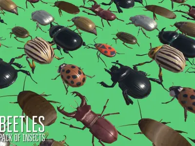 Beetles - pack of insects Low-poly 3D model