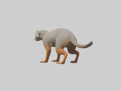 Mongoose hunting model 3D model