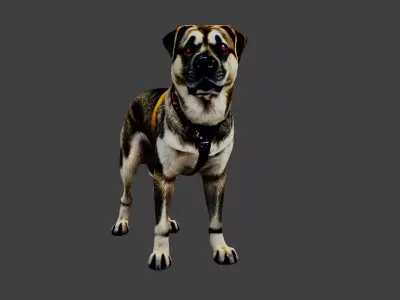 Dog Animal Low-poly 3D model