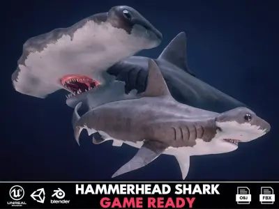 Hammerhead Shark - Game Ready Low-poly 3D model