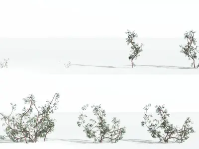 EVERYPlant Baiera 4 --14 Models-- 3D model