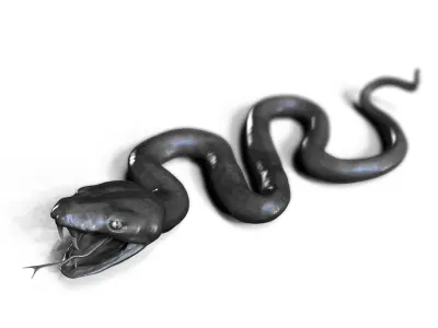 Snake by Swp Free 3D model