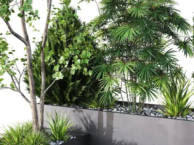 HQ Tree and bush garden box outdoor VOL 03 Free 3D model