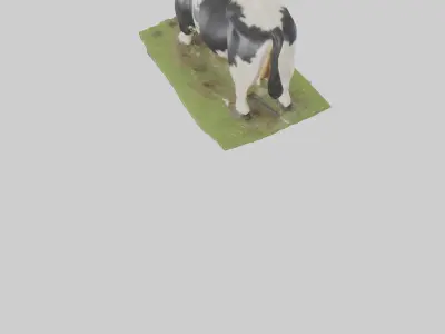 Galloway Cow grazing model 3D model