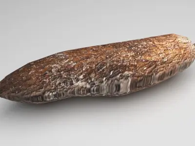 Cassava Manioc 3D model